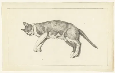 Liggende kat, naar links, van boven gezien