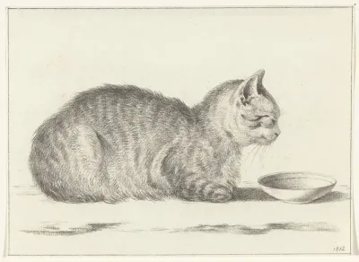 Liggende kat, naar links, voor een schotel