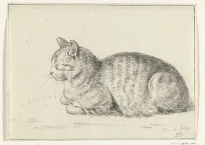 Liggende kat, naar links