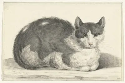 Liggende kat, naar rechts