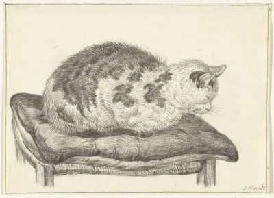 Liggende kat, op een kussen, naar links