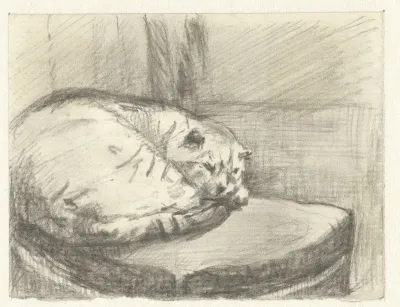 Liggende kat, op een stoel