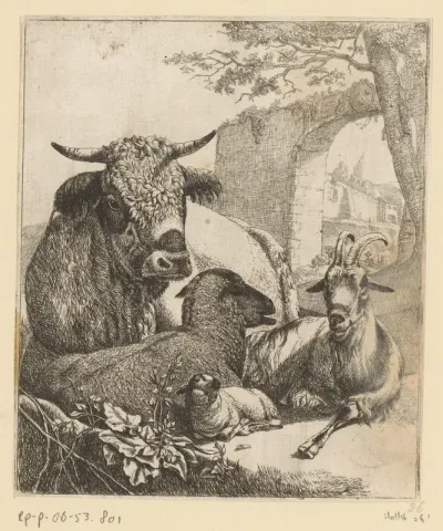 Liggende koe, geit, schaap en lam