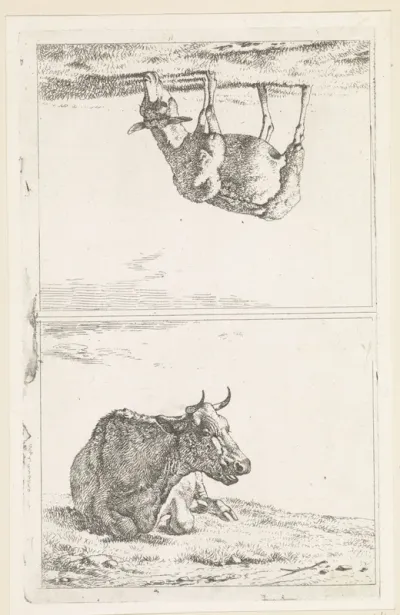 Liggende koe / Grazend schaap naar rechts