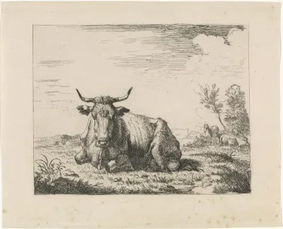 Liggende koe in een landschap