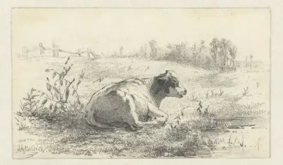 Liggende koe in landschap