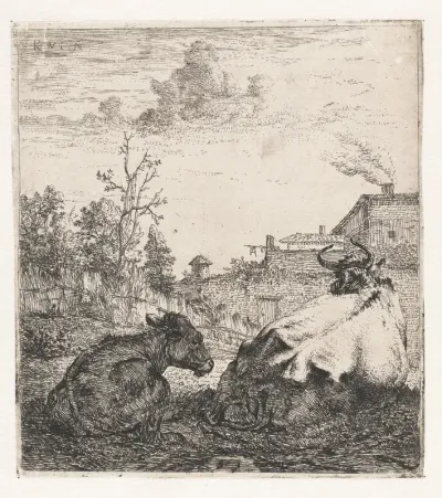 Liggende koe met kalf