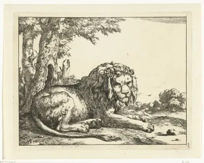 Liggende leeuw de staart op de voorgrond