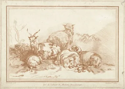Liggende schapen en geit