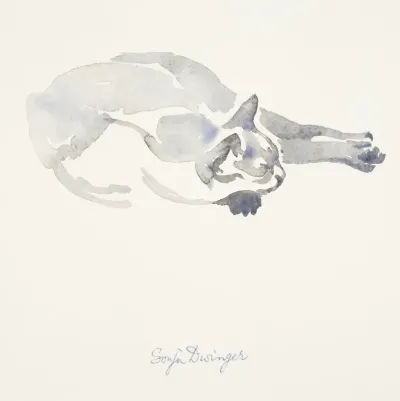 Liggende Siamese kat