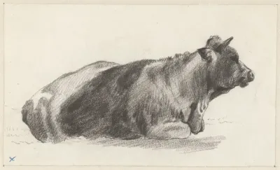 Liggende stier, naar rechts