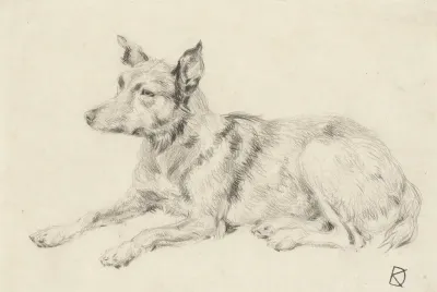 Liggende wolfshond