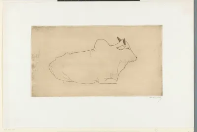Liggende zebu