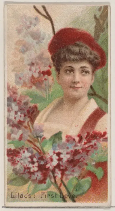 Lilacs: First Love, from the series Floral Beauties and Language of Flowers (N75) for Duke brand cigarettes
