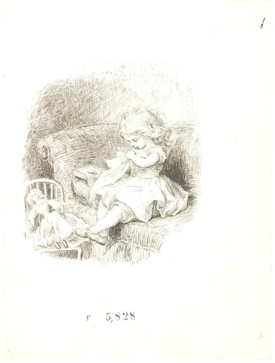 Lili syr