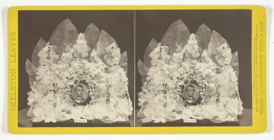 Lincoln, from the series "Skeleton Leaves"
