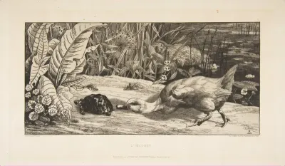 L'Inconnu