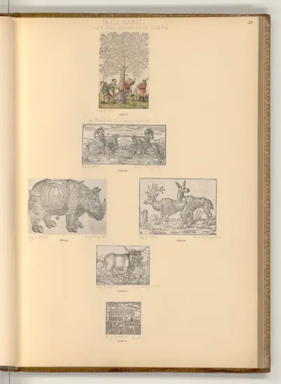 Lindenbaum; Tiere; Ansicht des Pariser Parlaments