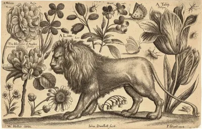 Lion and Tulip
