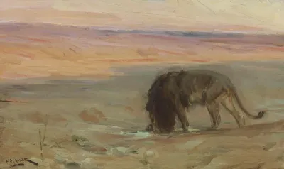 Lion Drinking