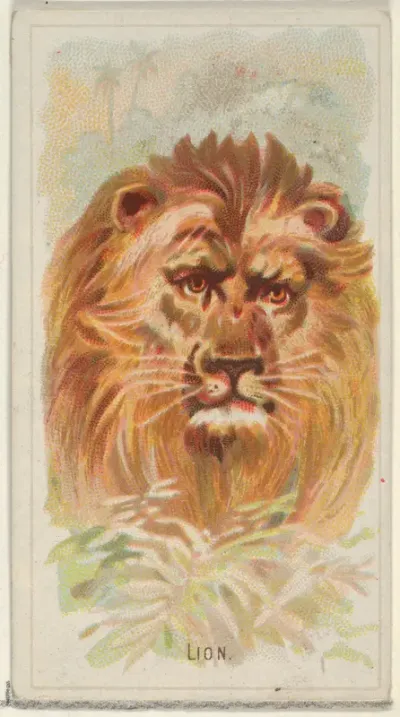 Lion, from the Wild Animals of the World series (N25) for Allen & Ginter Cigarettes