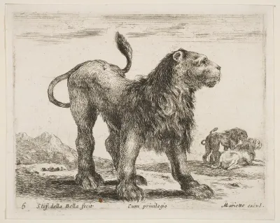 Lion, plate 6 from "Various Animals" (Diversi Animali)