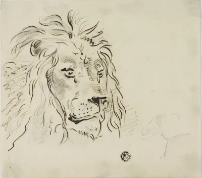 Lion's Head