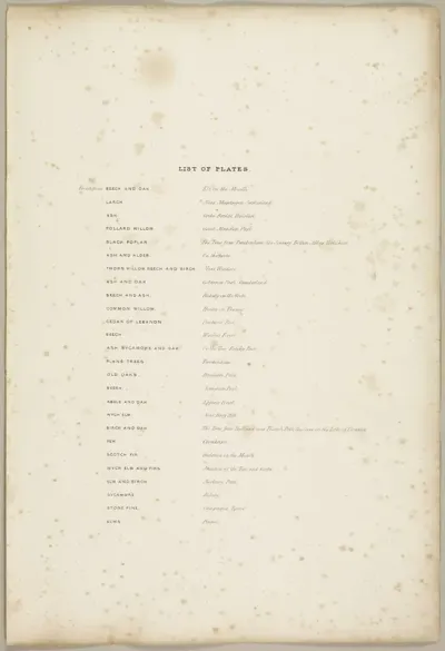 List of Plates, from The Park and the Forest