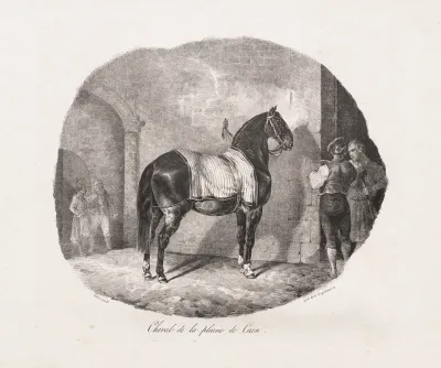 Lithographed Studies of Horses: Pl. 7, Horse from the Caen Plain