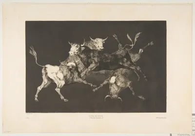 Little Bulls' Folly, from "The Disparates" (Disparates, Plate D)