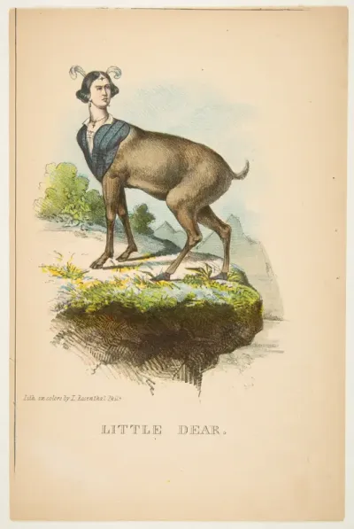 Little Dear, from "The Comic Natural History of the Human Race"