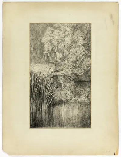 Little Pond in Woods