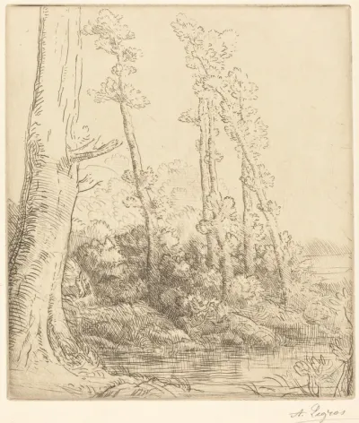 Little Pond (La petite mare)