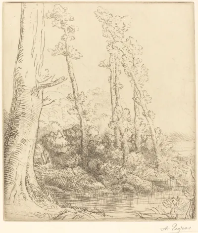 Little Pond