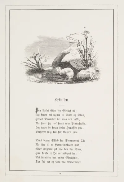 Lækatten. Illustration til H.V. Kaalund, "Fabler for Børn"
