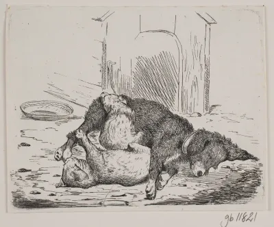 Lænkehund med hvalp