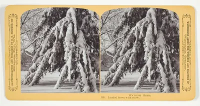 Loaded down with snow, No. 325 from the series "Wayside Gems"