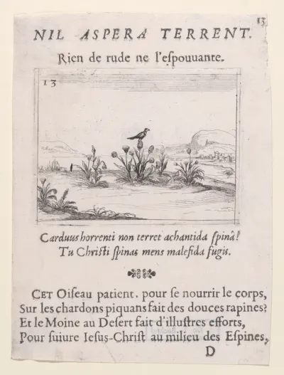 L'Oiseau Posé sur un Chardon en Fleurs (The Bird Standing on Thistle Flower), plate 13 from "Lux Claustri ou La Lumière du Cloitre" (The Light of the Cloisters)