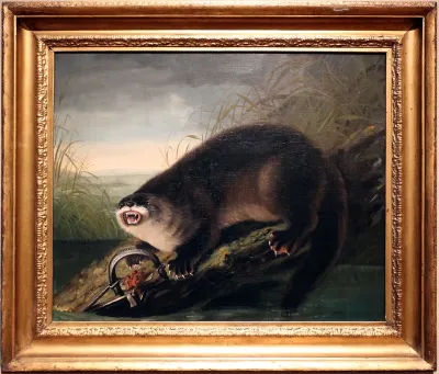 londra intrappolata (lontra canadese)