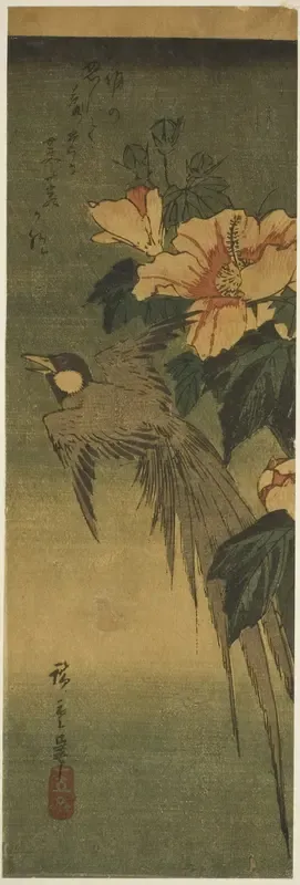 Long-tailed bird and hibiscus