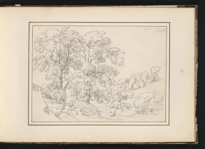 Loofbomen in heuvellandschap te Belmonte