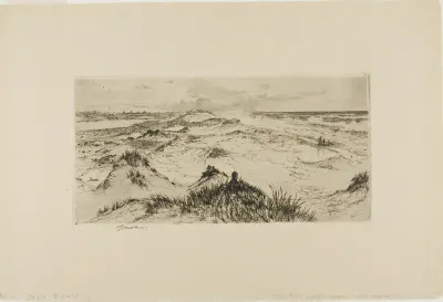Looking Over the Sand Dunes - Easthampton