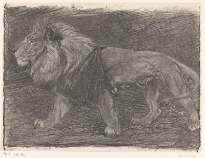 Lopende leeuw