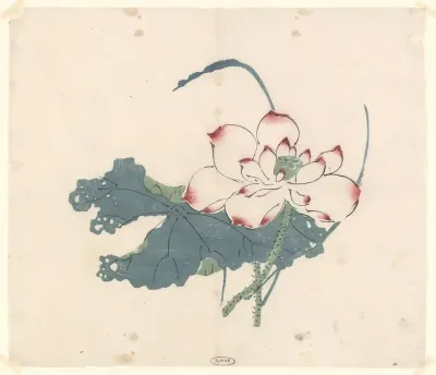Lotus