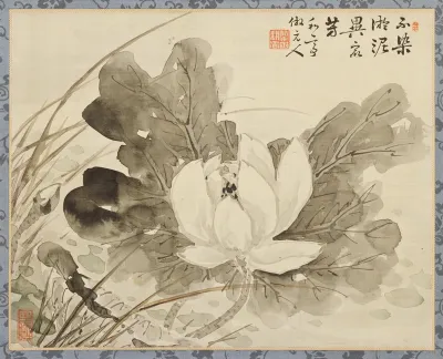 Lotus in Bloom
