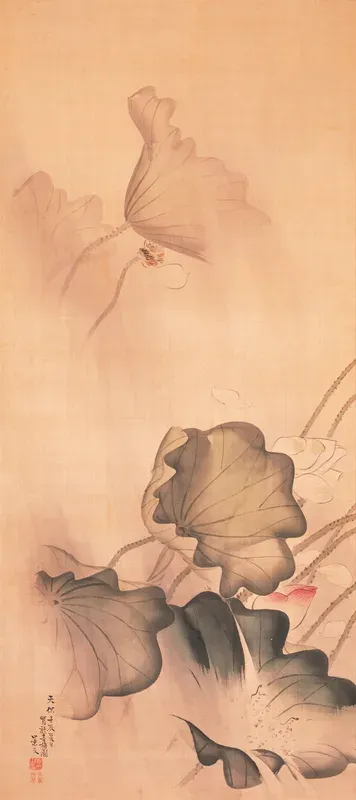 Lotus in the Rain