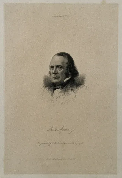 Louis Agassiz. Stipple engraving by C. H. Jeens, 1879, after a photograph