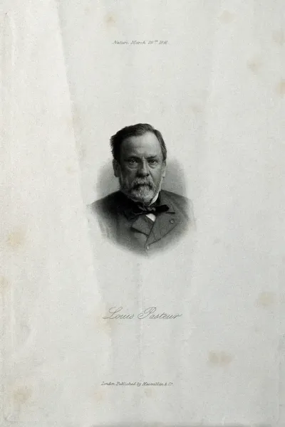 Louis Pasteur. Etching, 1891, after Nadar
