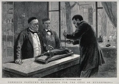 Louis Pasteur (left) watching a colleague trephining a chloroformed rabbit during his research on rabies vaccination