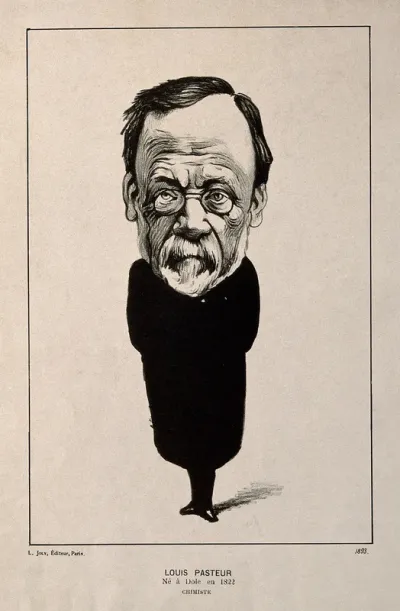 Louis Pasteur. Lithograph by Félix Vallotton, 1893